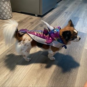 Narwhal Dog Costume